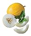 Photo Burpee Twice As Nice Hybrid (Fonzy) Melon Seeds 15 seeds review