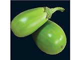 25 APPLEGREEN EGGPLANT Green Fruit / Vegetable Solanum Melongena Seeds Photo, new 2024, best price $3.00 ($0.12 / Count) review