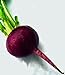 Photo Beets, Early Wonder, Heirloom, Non GMO, 100 Seeds, Tender N Sweet Beet, Perfect review