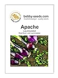Zwiebelsamen Apache rote Lauchzwiebel Portion Foto, neu 2024, bester Preis 1,75 € Rezension