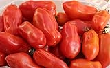 40+ San Marzano Tomato Seeds- Italian Heirloom Variety- Ohio Heirloom Seeds Photo, new 2024, best price $4.49 review
