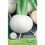 Germisem Snowball Semillas de Remolacha 20 g, EC9007 Foto, nuevo 2024, mejor precio 2,21 € revisión