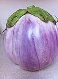Rosa Bianca Eggplant Seeds- Heirloom- 100+ Seeds Photo, new 2024, best price $2.99 review