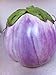 Photo Rosa Bianca Eggplant Seeds- Heirloom- 100+ Seeds review