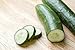 Photo Burpless #26 Hybrid Cucumber Seeds review
