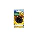 Foto Vilmorin - Paquete semillas Sol girasol flor gigante revisión
