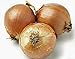Photo Onion, Yellow Spanish Onion Seeds, (25+ Seeds) Heirloom, Non- GMO, One of The Most Popular for Gardeners, This Jumbo-Sized Onion is mild with Golden Brown Skin. review