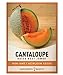 Photo Cantaloupe Seeds for Planting - Hales Best Jumbo Heirloom, Non-GMO Vegetable Variety- 1 Gram Approx 45 Seeds Great for Summer Melon Gardens by Gardeners Basics review