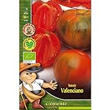 Semillas ecológicas de Tomate Valenciano Foto, nuevo 2024, mejor precio 4,42 € revisión