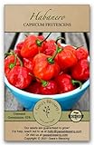 Gaea's Blessing Seeds - Habanero Pepper Seeds (100 Seeds) Non-GMO Seeds with Easy to Follow Planting Instructions - Open-Pollinated Heirloom Hot Pepper Seeds Germination Rate 92% Net Wt. 1.0g Photo, new 2024, best price $5.99 review