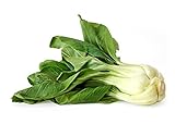 1000+ Canton Pak Choi Bok Choy Chinese Cabbage Seeds Heirloom Non-GMO Productive, Healthy, Brassica rapa VAR. chinensis, a.k.a. Canton's Choice, Bok Choi, US Grown! Photo, new 2024, best price $5.59 review