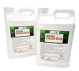 Kelp Fertilizer by GS Plant Foods (5 Gallon) - Organic Liquid Fertilizer for Gardens, Lawns & Soil - Liquid Kelp Concentrate Photo, new 2024, best price $149.95 review