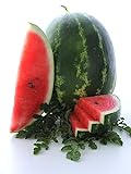 Cal Sweet Supreme Watermelon Seeds, 125 Heirloom Seeds Per Packet, Non GMO Seeds, High Germination & Purity, Botanical Name: Citrullus lanatus, Isla's Garden Seeds Photo, new 2024, best price $5.79 ($0.05 / Count) review