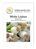 BIO-Zwiebelsamen White Lisbon, Lauchzwiebel Portion Foto, neu 2024, bester Preis 2,45 € Rezension
