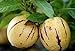 Photo 100+ Pepino Melon Seeds Ginseng Fruit Seeds for Planting review