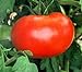 Photo 110+ Big Boy Organic NON-GMO Tomato Seeds - My Secret Garden - UPC742137106032 review