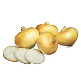 Burpee Granex Yellow Onion Seeds 450 seeds Photo, new 2024, best price $6.57 review