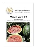 Bobby-Seeds Melonensamen Mini Love F1 Wassermelone Portion Foto, neu 2024, bester Preis 4,59 € Rezension