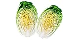 David's Garden Seeds Cabbage Chinese Minuet 8642 (Green) 50 Non-GMO, Hybrid Seeds Photo, new 2024, best price $4.45 review