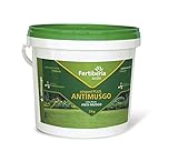 Fertiberia Césped Plus Antimusgo Abonos sólidos, Color parduzco Foto, nuevo 2024, mejor precio 16,51 € revisión
