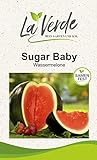 Sugar Baby Melonensamen Foto, neu 2024, bester Preis 2,95 € Rezension
