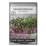 Sow Right Seeds - Red Cabbage Microgreen Seed for Growing - Instructions to Quickly Grow Your Own Delicious and Healthy Microgreens - Plant Indoors with no Special Equipment - Minimum 14g per Packet Photo, new 2024, best price $4.99 review