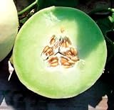 Park Seed Snow Mass Honeydew Melon Seeds Photo, new 2024, best price $7.95 review