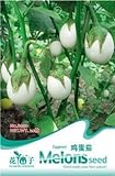 3 Packs 90 de berenjena blanca semillas de plantas hortícolas Semillas B050 Foto, nuevo 2024, mejor precio 14,49 € revisión