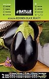 Batlle Gemüsesamen - Lange Aubergine schwarz (Samen) Foto, neu 2024, bester Preis 8,98 € (2.245,00 € / kg) Rezension