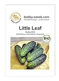 BIO-Gurkensamen Little Leaf Einlegegurke Portion Foto, neu 2024, bester Preis 1,95 € Rezension