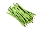 Burpee Stringless Green Bean Seeds, 50 Heirloom Seeds Per Packet, Non GMO Seeds, (Isla's Garden Seeds), Botanical Name: Phaseolus vulgaris, 85% Germination Rates Photo, new 2024, best price $5.99 ($0.12 / Count) review