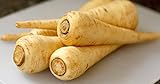 All American Parsnip Seeds, 300 Heirloom Seeds Per Packet, Non GMO Seeds Photo, new 2024, best price $5.99 ($0.02 / Count) review