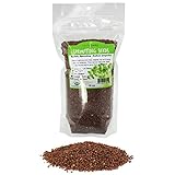 Organic Radish Sprouting Seeds - 1 Pound Non-GMO Daikon Radish Seeds - Plant & Grow Microgreens Indoors Photo, new 2024, best price $17.67 ($1.10 / Ounce) review