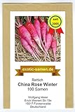 Rettich - Sommer- und Winterrettich - China Rose Winter (100 Samen) Foto, neu 2024, bester Preis 1,80 € Rezension
