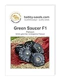 Kürbissamen Green Saucer F1 Portion Foto, neu 2024, bester Preis 2,75 € Rezension