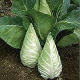 Caraflex Cabbage Seeds (20+ Seeds) | Non GMO | Vegetable Fruit Herb Flower Seeds for Planting | Home Garden Greenhouse Pack Photo, new 2024, best price $3.69 ($0.18 / Count) review