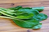Gemüsekohl - Choy Sum, Gunsho - Chinakohl - Kohl - 100 Samen Foto, neu 2024, bester Preis 1,70 € Rezension