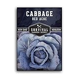 Survival Garden Seeds - Red Acre Cabbage Seed for Planting - Packet with Instructions to Plant and Grow Purple Cabbages in Your Home Vegetable Garden - Non-GMO Heirloom Variety Photo, new 2024, best price $4.99 review