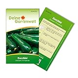 Zucchini Diamant F1 Samen - Cucurbita pepo - Zucchinisamen - Gemüsesamen - Saatgut für 5 Pflanzen Foto, neu 2024, bester Preis 1,99 € (0,40 € / stück) Rezension