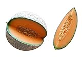 Melone Cantaloupe 10 Samen (Selten) Sehr Süß Foto, neu 2024, bester Preis 1,98 € Rezension