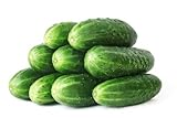 50 Straight Eight Cucumber Seeds - Heirloom Non-GMO USA Grown Vegetable Seeds for Planting - Pickling and Slicing Cucumber Photo, new 2024, best price $4.99 ($0.10 / Count) review
