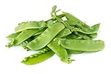 Oregon Giant Snow Pea Seeds Photo, new 2024, best price $5.49 review