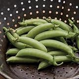 David's Garden Seeds Pea Snap Sugar 3155 (Green) 100 Non-GMO, Heirloom Seeds Photo, new 2024, best price $3.45 review