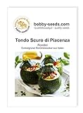 Kürbissamen Tondo Scuro di Piacenza Zucchini Portion Foto, neu 2024, bester Preis 1,75 € Rezension