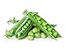 Photo Green Arrow Pea Seeds review