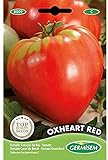 Germisem Oxheart Red Semillas de Tomate 2 g Foto, nuevo 2024, mejor precio 2,21 € revisión