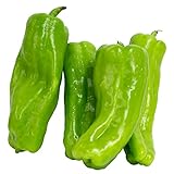 Cubanelle Pepper Sweet Pepper Seeds , 100+ Heirloom Seeds Per Packet, (Isla's Garden Seeds), Non GMO Seeds, Botanical Name: Capsicum annuum Photo, new 2024, best price $6.99 ($0.07 / 100) review