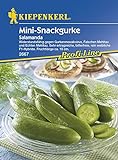 Gurkensamen - Salatgurke Salamanda von Kiepenkerl Foto, neu 2024, bester Preis 3,95 € Rezension
