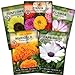 Photo Sow Right Seeds - Flower Seed Garden Collection for Planting - 5 Packets Includes Marigold, Zinnia, Sunflower, Cape Daisy, and Cosmos - Wonderful Gardening Gift review