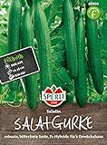 80900 Sperli Premium Gurken Samen Saladin | Schlangengurken Samen | Gurkensamen Gewächshaus | Samen Gurke | Salatgurken Samen Foto, neu 2024, bester Preis 4,97 € Rezension